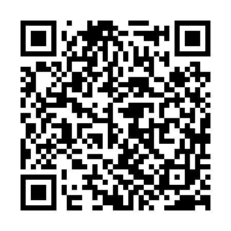 QR code for ZXX253