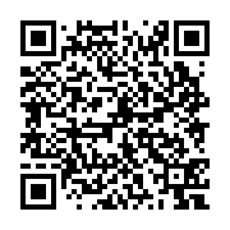 QR code for ZXX331