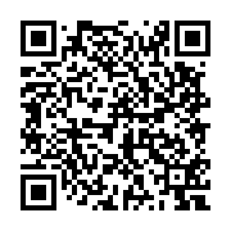 QR code for ZXX511