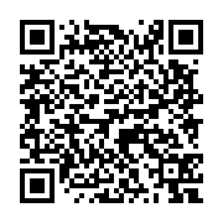QR code for ZXX534