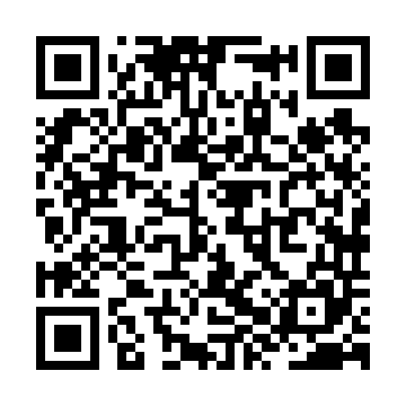 QR code for ZXX645
