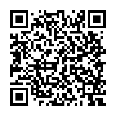 QR code for ZXX786