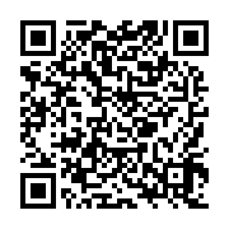 QR code for ZXX918