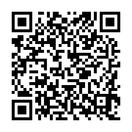 QR code for ZXX990