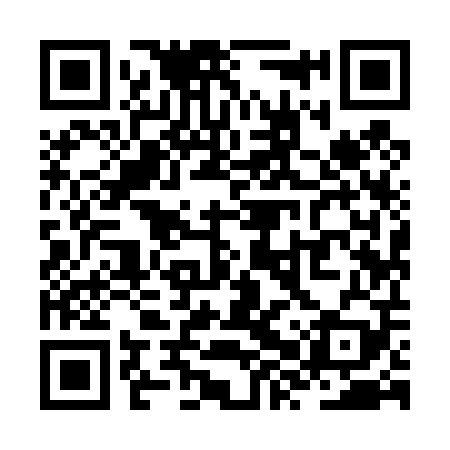 QR code for ZXY409