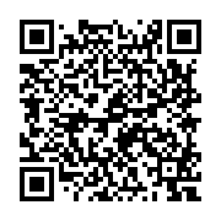 QR code for ZXY981