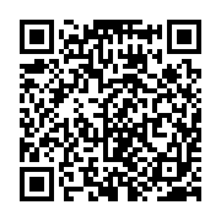 QR code for ZYA393