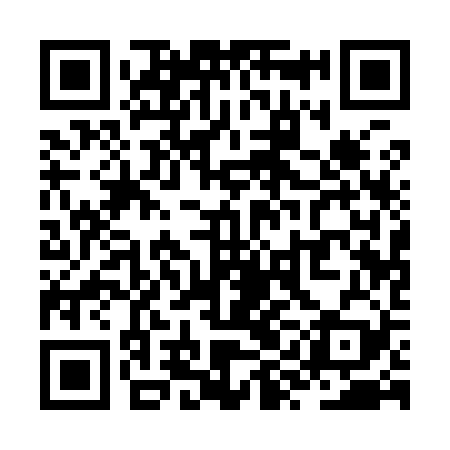 QR code for ZYA929
