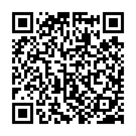QR code for ZYB609