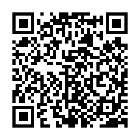 QR code for ZYB611