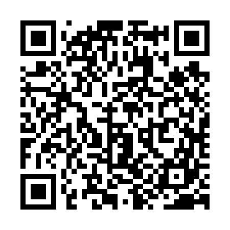 QR code for ZYB667