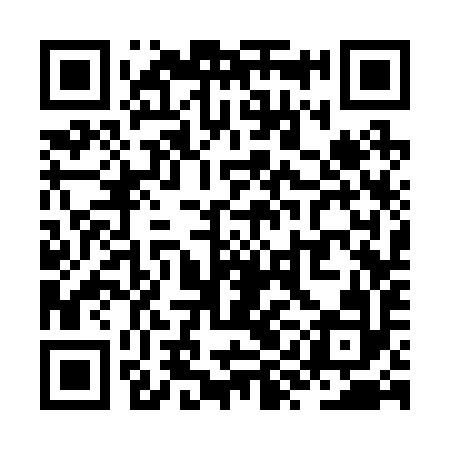 QR code for ZYC292