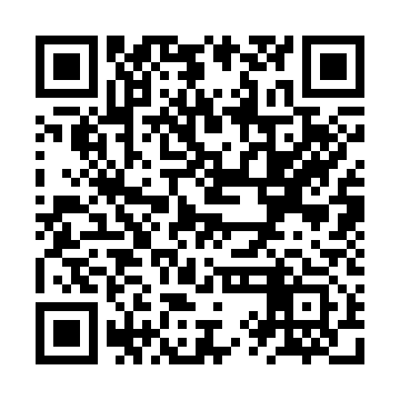 QR code for ZYC313