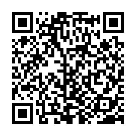 QR code for ZYC338