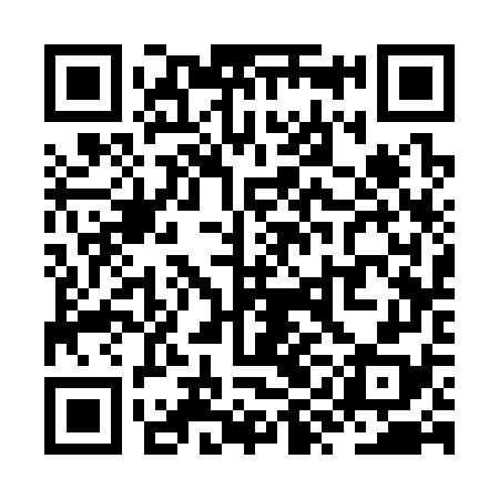 QR code for ZYC378