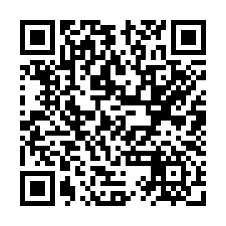 QR code for ZYC397