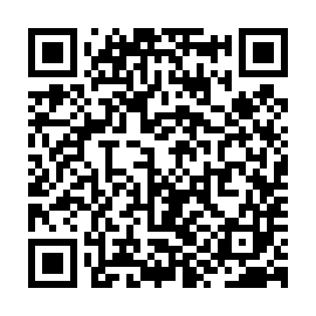 QR code for ZYC483