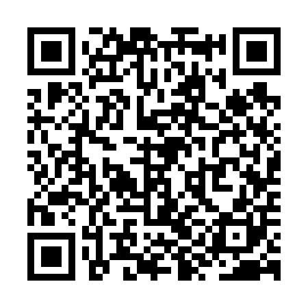QR code for ZYC600