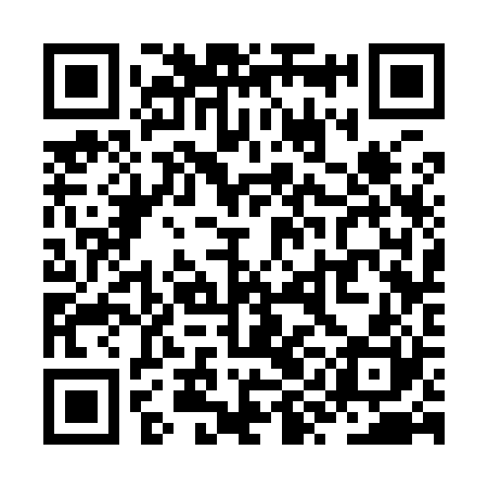 QR code for ZYC920