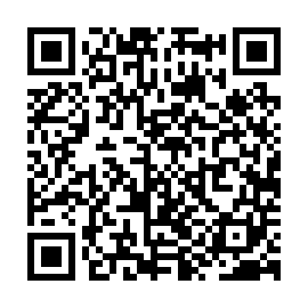 QR code for ZYD241