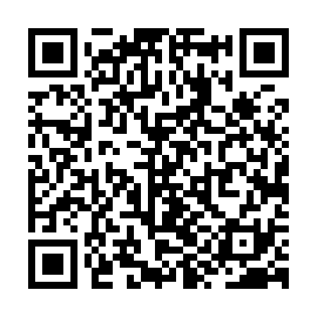 QR code for ZYD931
