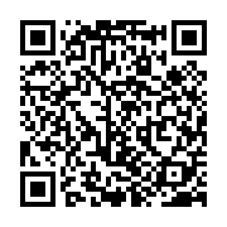 QR code for ZYE009
