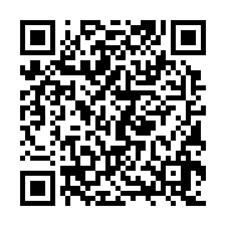 QR code for ZYE336