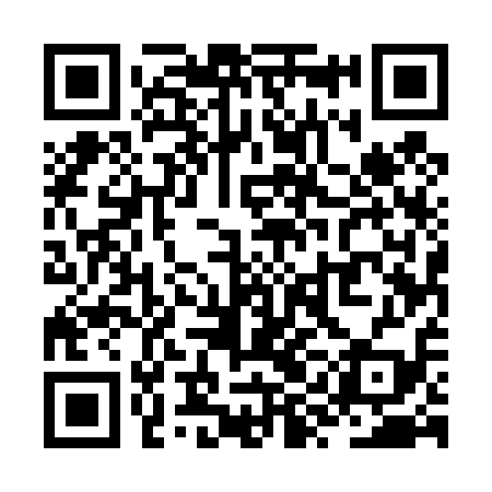 QR code for ZYE419