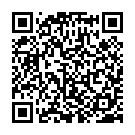QR code for ZYF095