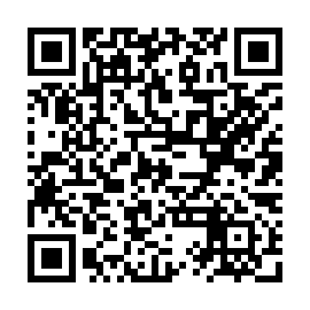 QR code for ZYF991