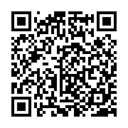 QR code for ZYG195