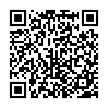 QR code for ZYG307