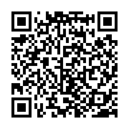 QR code for ZYG739