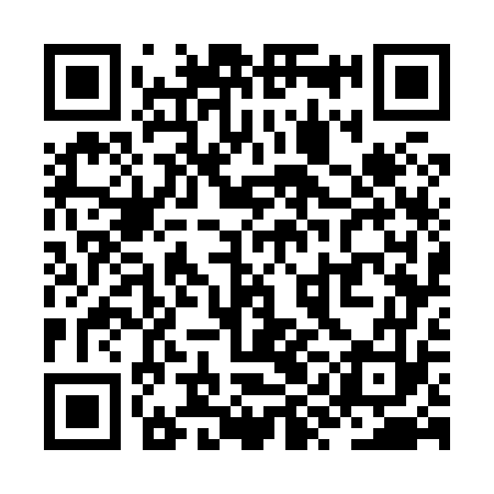 QR code for ZYG873