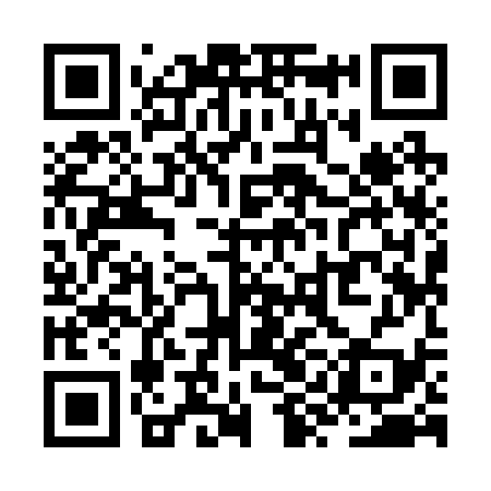 QR code for ZYI239