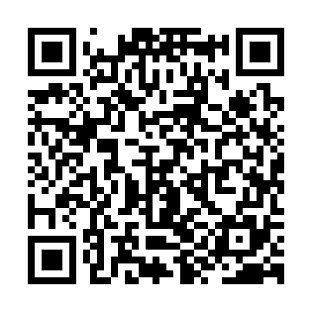 QR code for ZYI375