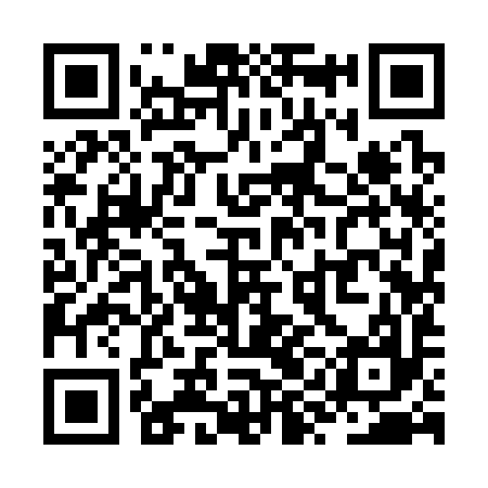 QR code for ZYI397