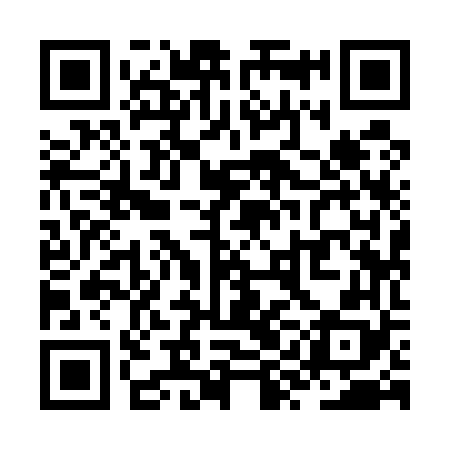 QR code for ZYI568