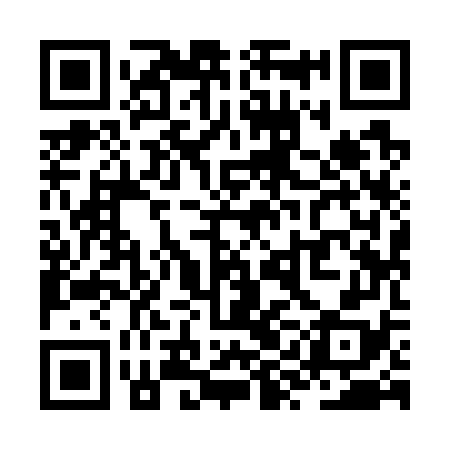QR code for ZYI778