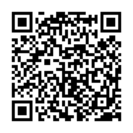 QR code for ZYJ413