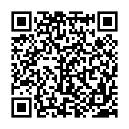 QR code for ZYK016