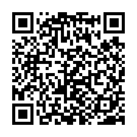 QR code for ZYK601