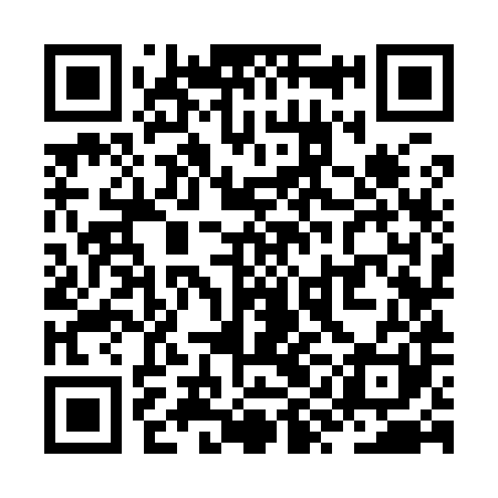 QR code for ZYK981