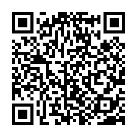 QR code for ZYL038