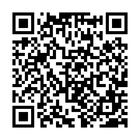QR code for ZYL206