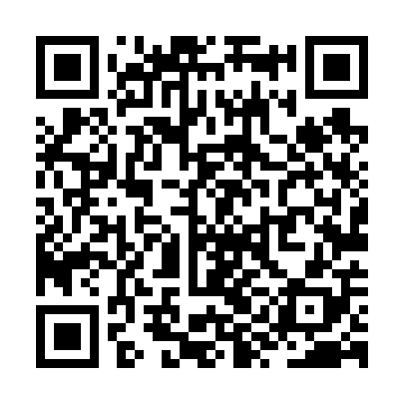 QR code for ZYL608