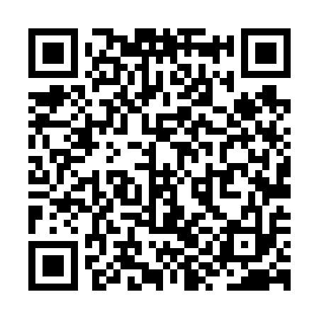 QR code for ZYL613