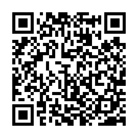 QR code for ZYL641