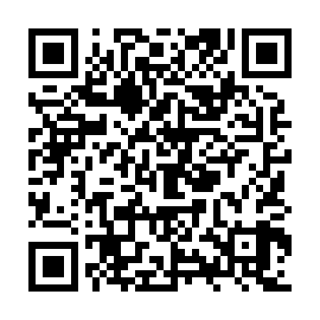 QR code for ZYL809