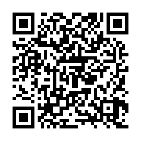 QR code for ZYL928